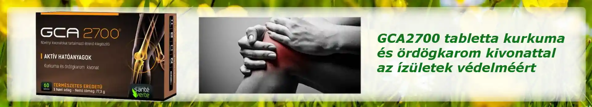 GCA 2700 izületvédő vitamin kurkuma és örgökarom kivonattal