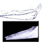 Gyopár S22 rámpa 76X27X30CM