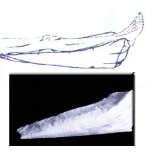 Gyopár S22 rámpa 76X27X30CM